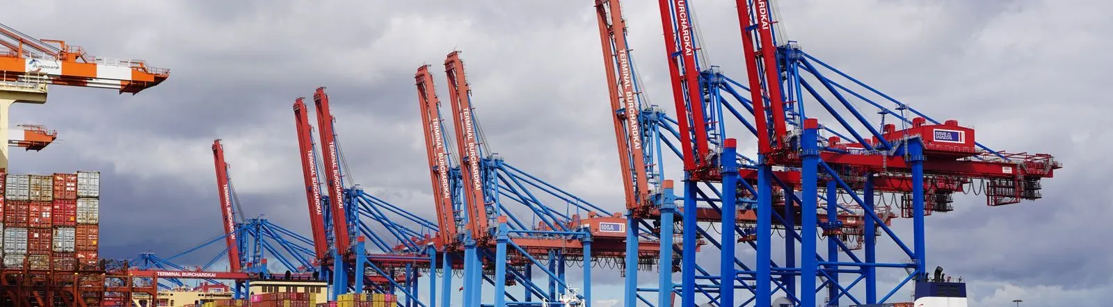 Container ships and cranes at the bustling Hamburg port, showcasing global trade activity.